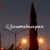 Cjicumahuapan - Single album lyrics, reviews, download