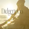 Didgeridoo Meditation (Tribal Mindfulness) album lyrics, reviews, download
