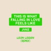 this is what falling in love feels like - Leon Leiden Remix by JVKE iTunes Track 1