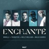 Willy William - Enchanté (feat. Malik Harris)