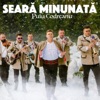 Seară Minunată - Single