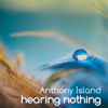 Hearing nothing - Anthony Island