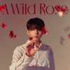 A Wild Rose - The 3rd Mini Album - RYEOWOOK