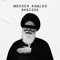 Barcode - Mohsen Namjoo lyrics