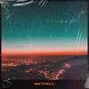 Skyfall - Single