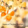 Aspens of Targhee Mountain - Single