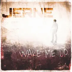Wake Me Up Song Lyrics