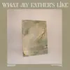 What My Father's Like (feat. Patrick Mayberry) song lyrics