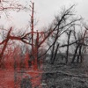 Echoes - Single