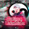 Montagem Malandriada - Single album lyrics, reviews, download