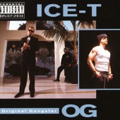 Ice-T - Mind Over Matter