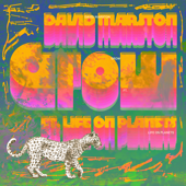 Grow (feat. Life on Planets) - David Marston