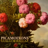 Picamoixons artwork