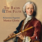 Flute Concerto in G Major, Wq. 169: III. Presto artwork