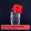 I Cry Your Name Female - Single album lyrics, reviews, download