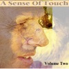 A Sense of Touch Volume Two