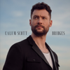 Calum Scott - Bridges artwork