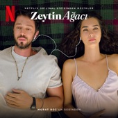 Zeytin Ağacı (Soundtrack from the Netflix Series) - EP artwork
