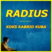 Koks Kabrio Kuba artwork