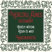 Hozomány Magyarvista (Erdélyi népzene régen és most) artwork