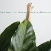 Rain Sounds for Relaxing, Sleeping & Meditation album lyrics, reviews, download