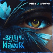 Spirit Of The Hawk artwork