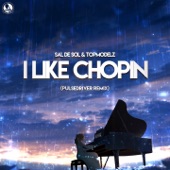 I Like Chopin (Pulsedriver Extended Remix) artwork