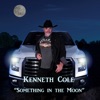 Something in the Moon - Single