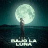 Don H - Bajo La Luna