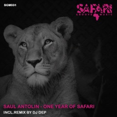 One Year of Safari
