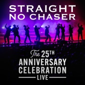 The 25th Anniversary Celebration (Live) artwork
