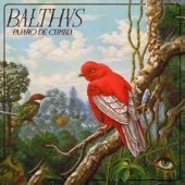 BALTHVS - Pájaro de Cumbia