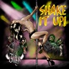 Shake It Up - Single