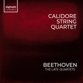 Beethoven: The Late Quartets artwork