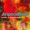 A Rã (feat. Rubinho Antunes) - Jiripoca Band lyrics