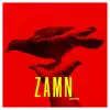 Zamn - Single album lyrics, reviews, download
