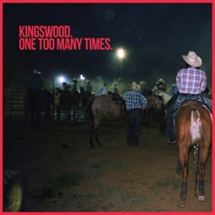 One Too Many Times - Single