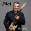 The End - Single