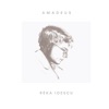 Amadeus - Single