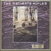 The Celibate Rifles - Wonderful Life '88