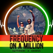 Frequency on a Million artwork