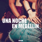 Una Noche en Medellín (Remix) artwork