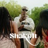 Shake It - Single