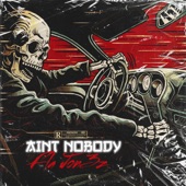 Aint Nobody Preview (Chaka Khan Sample) artwork