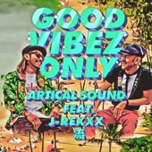 GOOD VIBEZ ONLY (feat. J-REXXX & 流) artwork