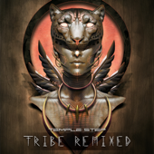 Tribe (Remixed) - Temple Step Project