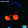 Stream & download Predator (Radio Edit) - Single