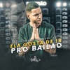 Ela Gosta de Ir Pro Bailão - Single