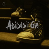 Adidașii gri artwork