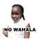 No Wahala - Mesh Kiviu Msanii & Mesh Beats lyrics